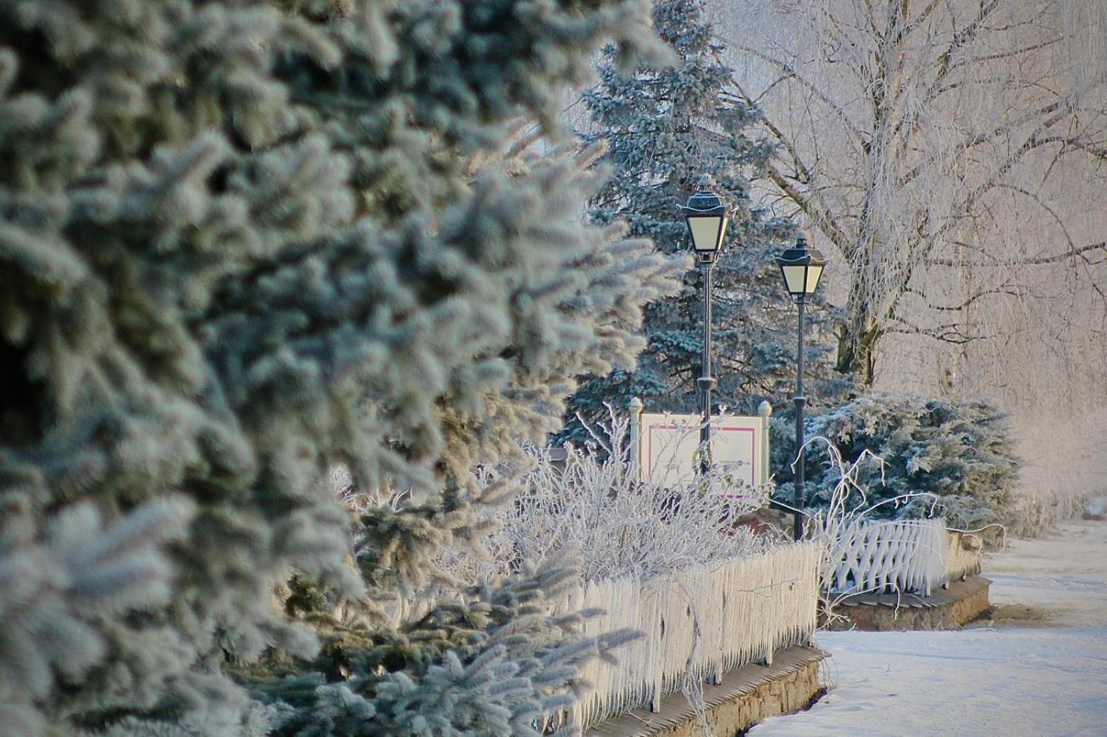 Zielone Zacisze Bed & Breakfast Murzynowo Koscielne Exterior photo